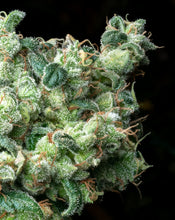 Island Mtn. Headband